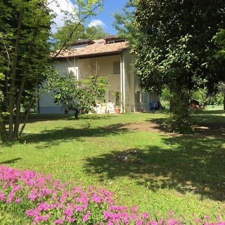 Acero Giallo Parma Bagian luar foto