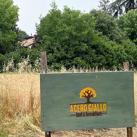 Acero Giallo Parma Bagian luar foto