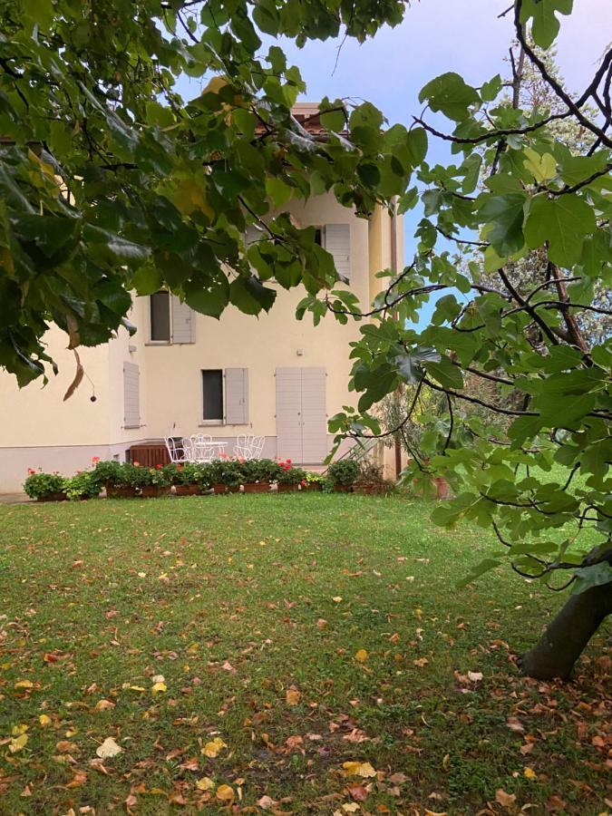 Acero Giallo Parma Bagian luar foto