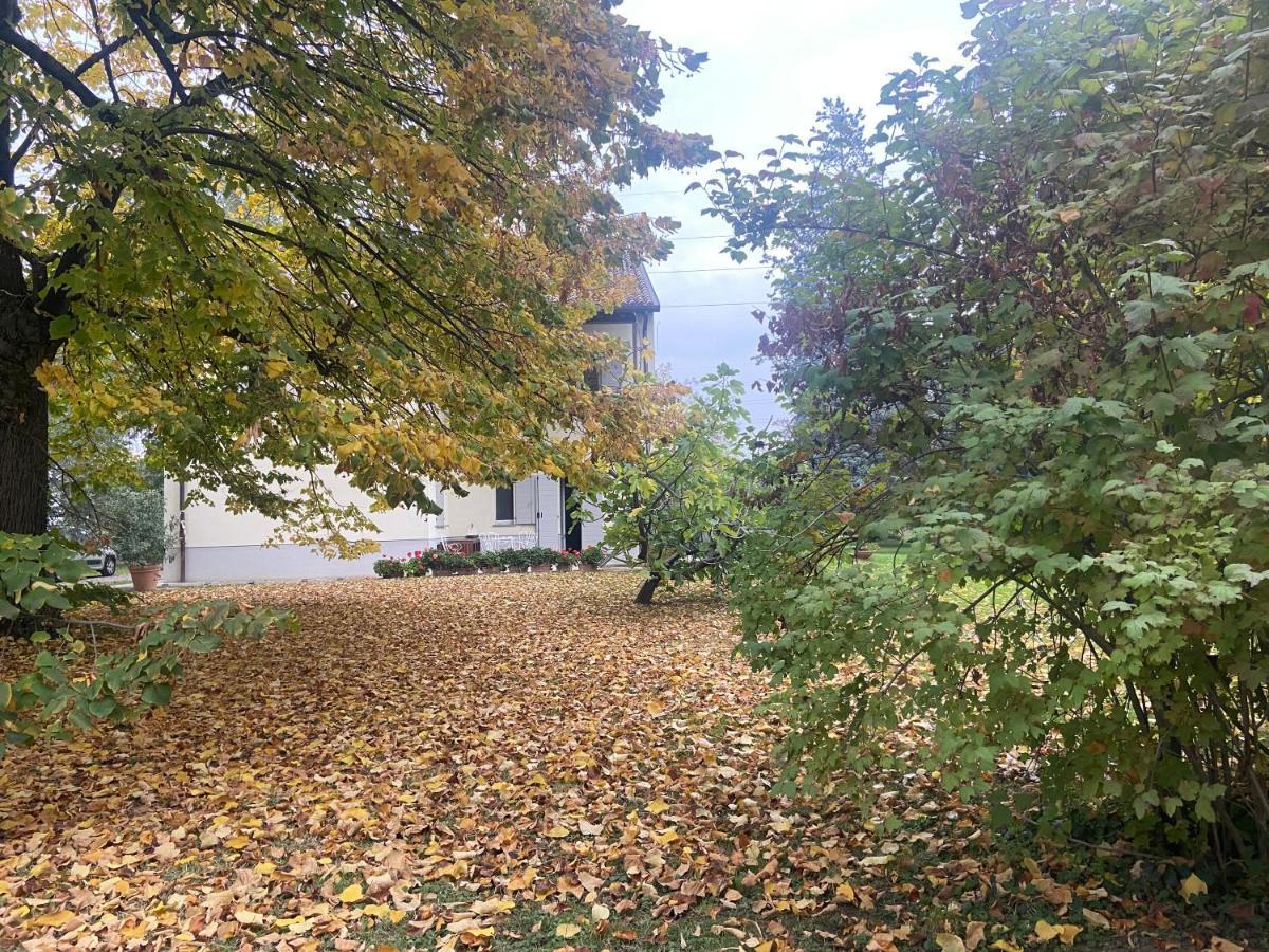 Acero Giallo Parma Bagian luar foto