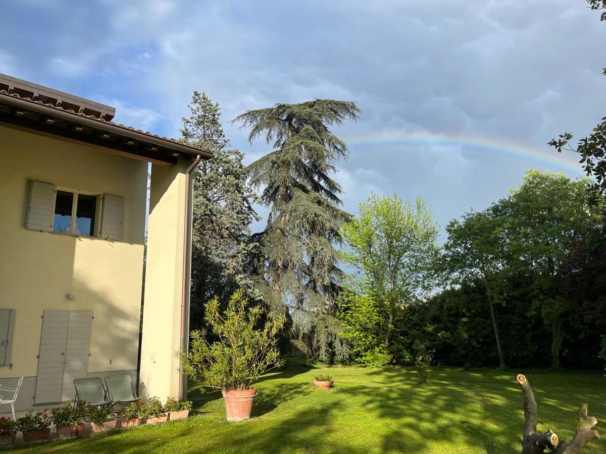 Acero Giallo Parma Bagian luar foto