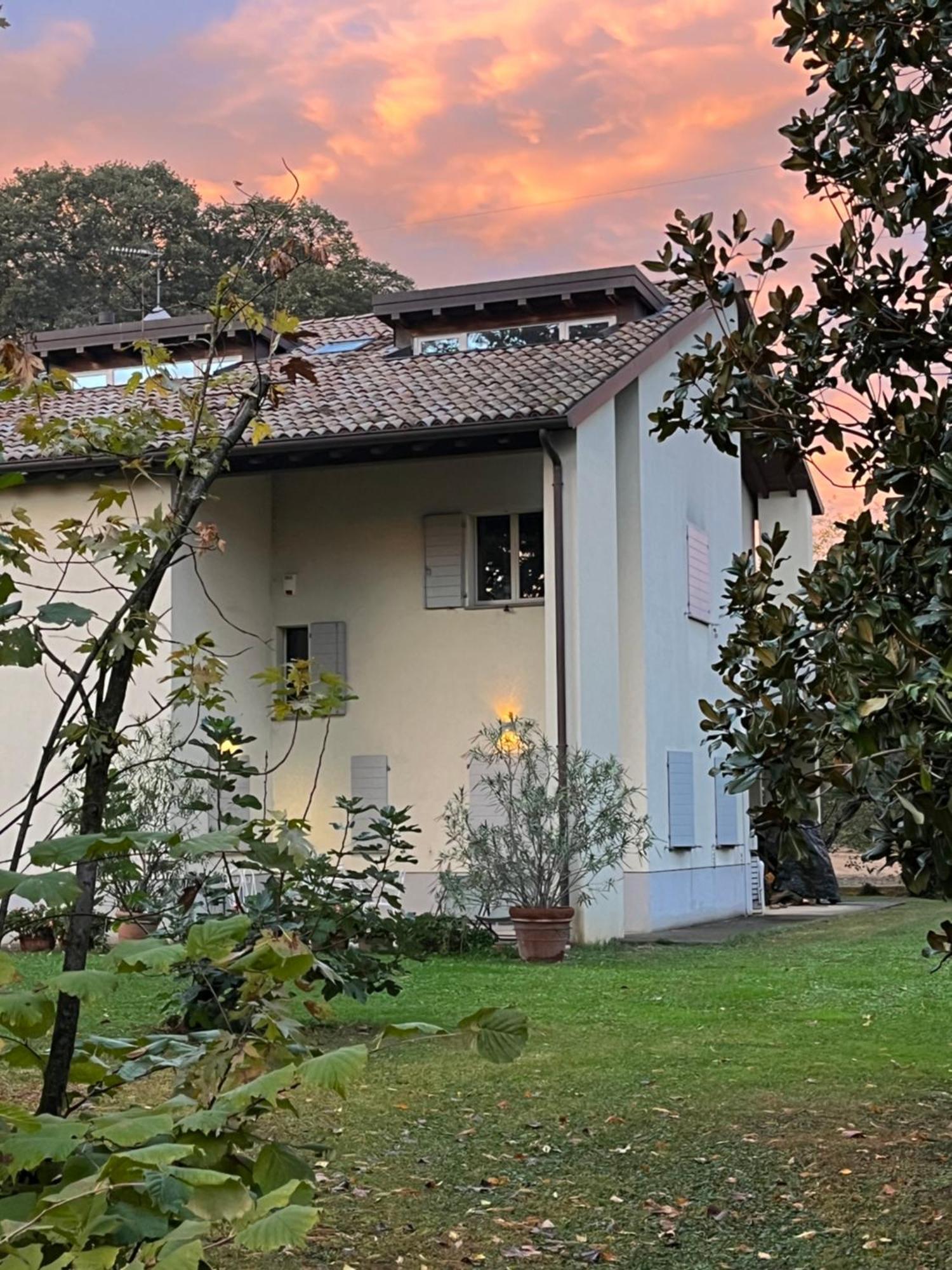 Acero Giallo Parma Bagian luar foto
