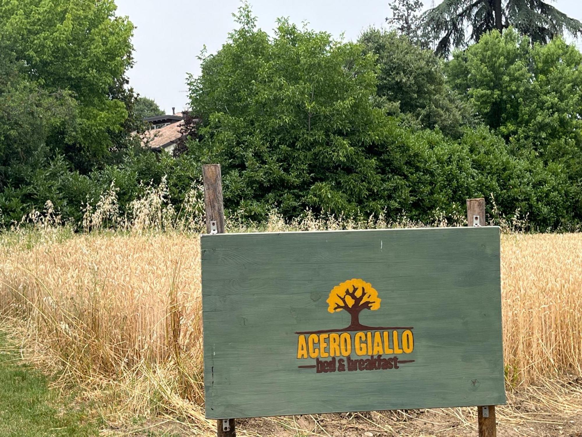 Acero Giallo Parma Bagian luar foto